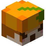 Pumpkin XII